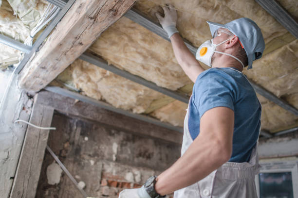 Best Insulation Installation Services in Portageville, MO